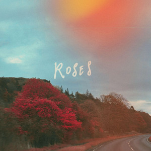 Roses by Lew Furber