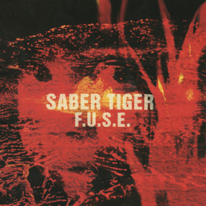 SABER TIGER INVASION BOX CD+グッズ INVASION - Album by SABER TIGER | Spotify