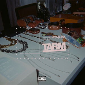 Ledger by Tarm