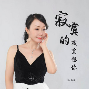 寂寞的夜里想你