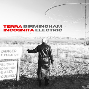 Anomaly by Birmingham Electric, Marco Pirroni