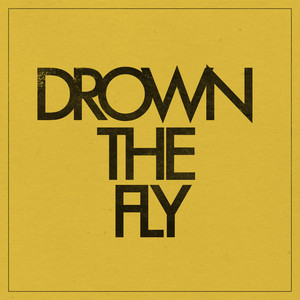 Drown the Fly