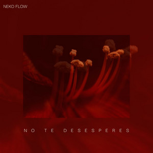 No Tedesesperes by Neko Flow