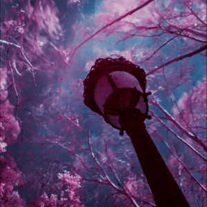 One Summer's Day (from 'Spirited Away') by Njord Skog