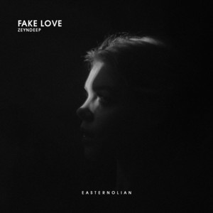 Fake Love by ZEYNDEEP