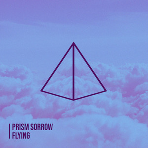 Flying