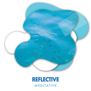zZz Reflective Meditative Ocean Tracks zZz album