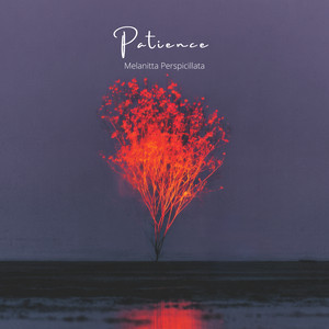 Patience by Melanitta Perspicillata
