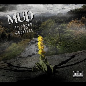 True Sounds of Province by MUD