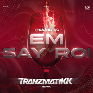 Em Say Rồi - Tranzmatikk Remix