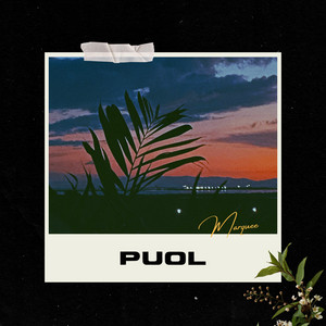 Puol by Marquee