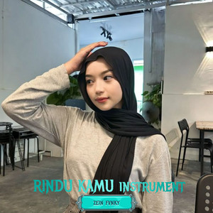 Zein fvnky - Rindu kamu (instrument)