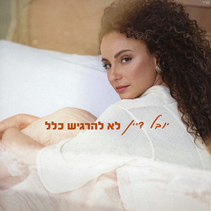 לא להרגיש כלל by Yuval Dayan