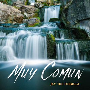 Muy Comun by Jay The Formula