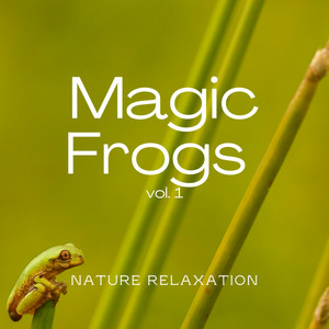 1 Magic Frogs Vol. 1 album
