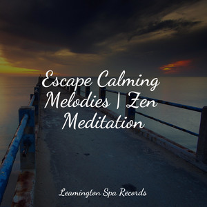 Escape Calming Melodies | Zen Meditation album
