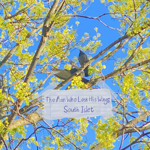 The Man Who Lost His Wings by South Islet
