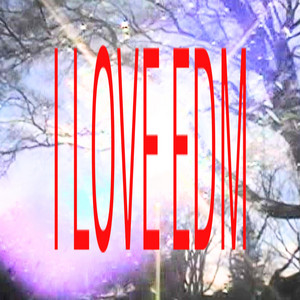 I LOVE EDM by Hybrid.Contrast