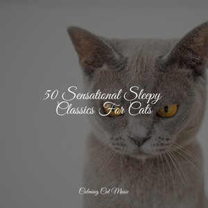 50 Sensational Sleepy Classics For Cats album