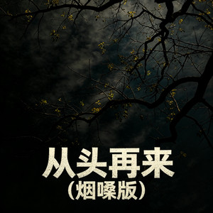 从头再来 - 烟嗓版 by 夕颜NA