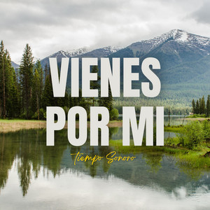Vienes Por Mi by Tiempo Sonoro