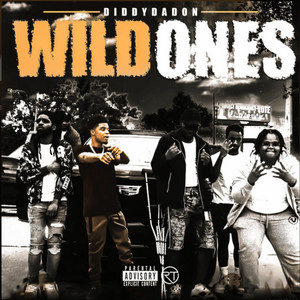 Wild Ones by Diddyda don