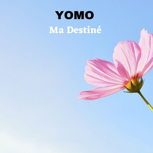 YOMO