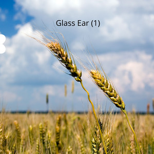 Glass Ear (1) by La Bella Emelyn