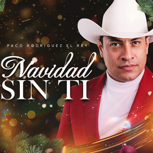 Navidad Sin Ti (Cover)