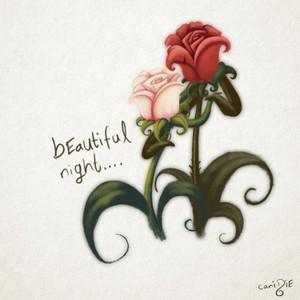 beautiful night by canidie