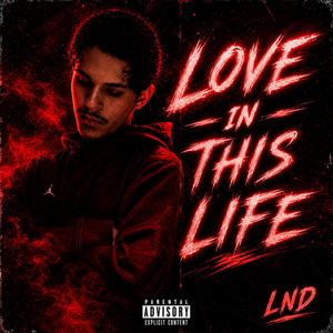 Love In This Life by Level Not Determined