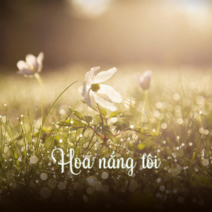 Giữ Lấy Làm Gì