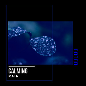 # 1 Album: Calming Rain album