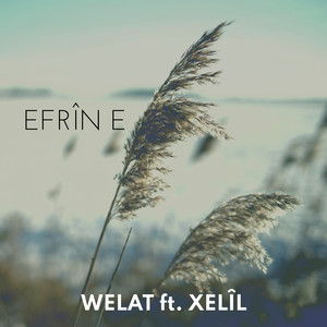 Efrîn e by Welat, Xelîl