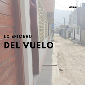 LO EFIMERO DEL VUELO by PalPla Grand