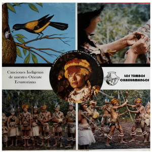 Mishki Chullumbo - Yachac (Curandero)