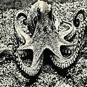 Giant Octopus by Shyua