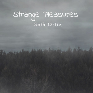 Dreamy Grooves by Seth Ortiz