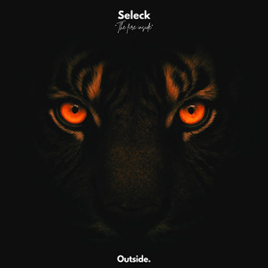 The Fire Inside - Radio Edit by Seleck