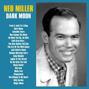 Dusty Guitar - Remastered 2026 by Ned Miller