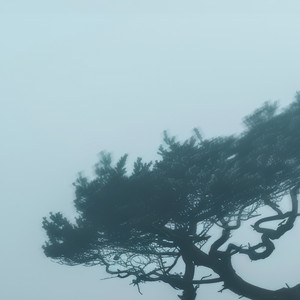 Yes, This Is My Garden by Future Of Forestry, Eric Owyoung