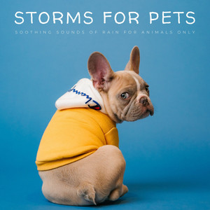 Storms For Pets: Soothing Sounds Of Rain For Animals Only album