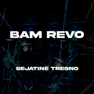 BAM REVO - Sejatine Tresno