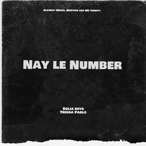 Sgija Keys & TriggaPablo - Nay le Number (feat. Blaqboy Musiq, M00tion & Mr Ternity)