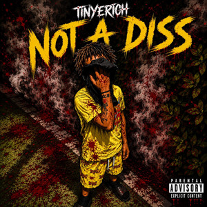 Not a Diss by Tinyerich