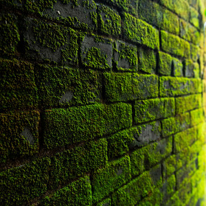 lamas verdes by breidyinstrumental34