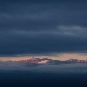 Mari Bourne - Life is Strange (Riff 2)