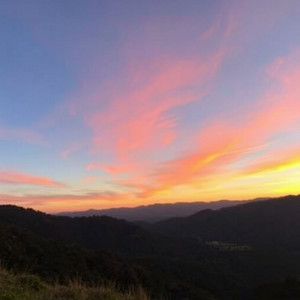 Elisabete - Segredos Entre as Paredes