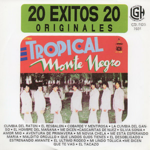 Cobarde Y Mentirosa by Tropical Monte Negro