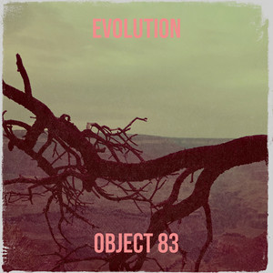 Evolution by Object 83